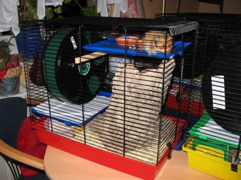 Click to view full size image