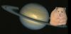 Filename=planet_hamster.jpg
Filesize=27KiB
Dimensions=405x198
Date added=Jan 25, 2006 planet_hamster.jpg